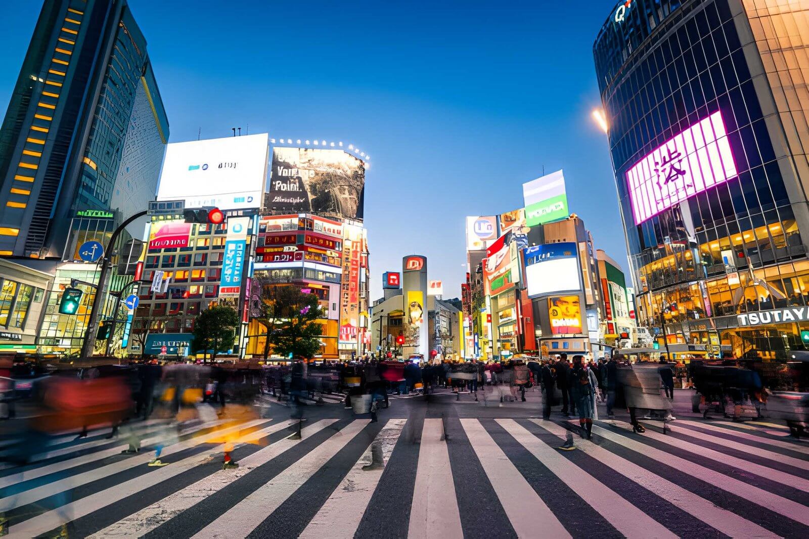 Japan eSIM Reviews: Reddit and Trustpilot Feedback